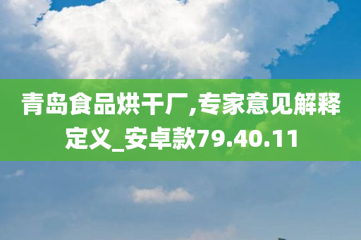 青岛食品烘干厂,专家意见解释定义_安卓款79.40.11