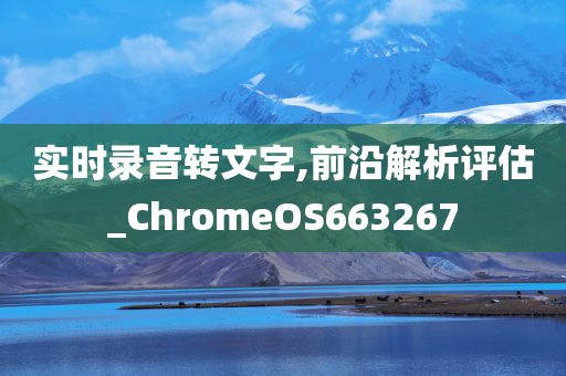 实时录音转文字,前沿解析评估_ChromeOS663267