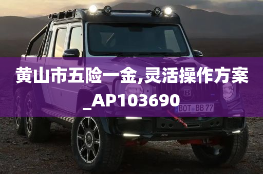 黄山市五险一金,灵活操作方案_AP103690