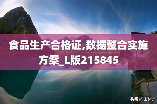 食品生产合格证,数据整合实施方案_L版215845