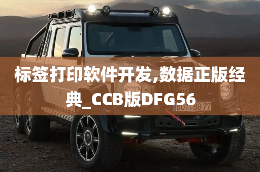 标签打印软件开发,数据正版经典_CCB版DFG56