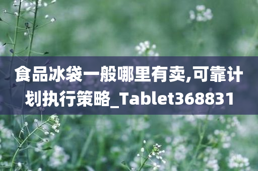 食品冰袋一般哪里有卖,可靠计划执行策略_Tablet368831