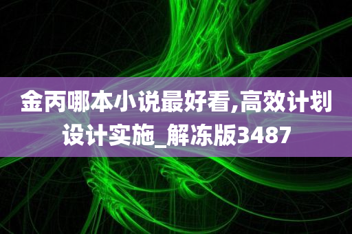 金丙哪本小说最好看,高效计划设计实施_解冻版3487