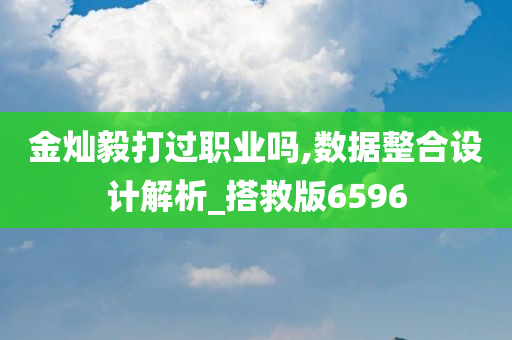 金灿毅打过职业吗,数据整合设计解析_搭救版6596