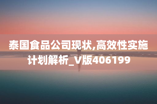 泰国食品公司现状,高效性实施计划解析_V版406199