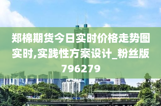 郑棉期货今日实时价格走势图实时,实践性方案设计_粉丝版796279