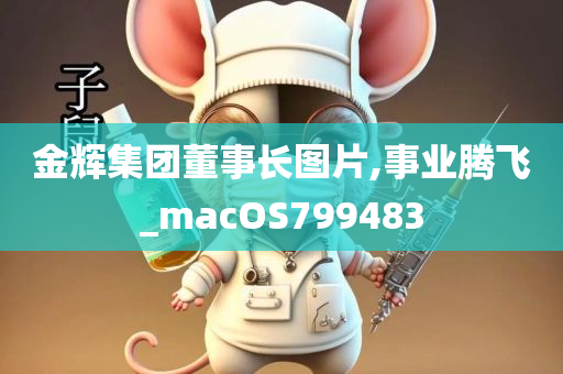 金辉集团董事长图片,事业腾飞_macOS799483