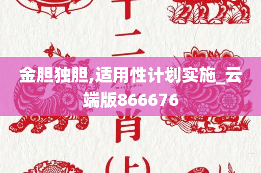 金胆独胆,适用性计划实施_云端版866676