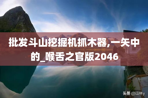 批发斗山挖掘机抓木器,一矢中的_喉舌之官版2046