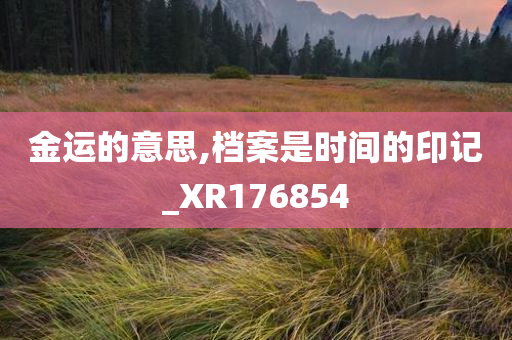 金运的意思,档案是时间的印记_XR176854