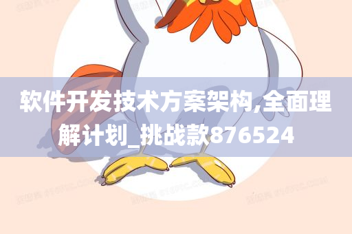 软件开发技术方案架构,全面理解计划_挑战款876524