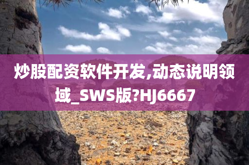 炒股配资软件开发,动态说明领域_SWS版?HJ6667