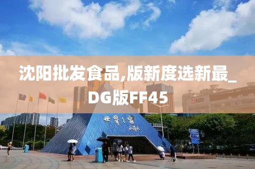 沈阳批发食品,版新度选新最_DG版FF45