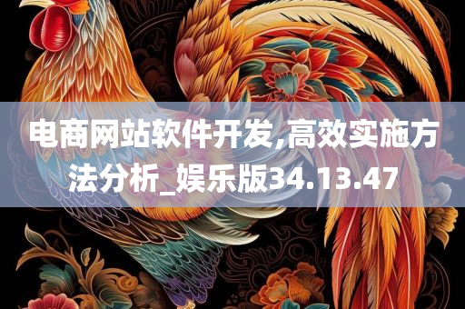 电商网站软件开发,高效实施方法分析_娱乐版34.13.47