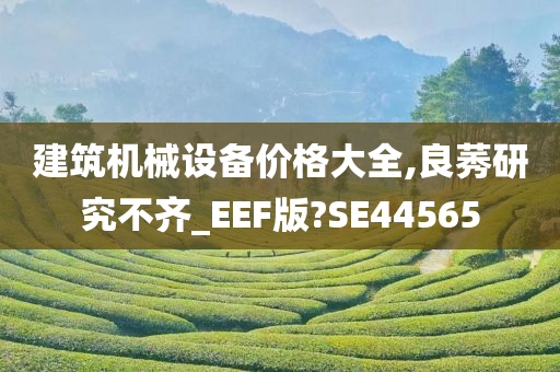 建筑机械设备价格大全,良莠研究不齐_EEF版?SE44565