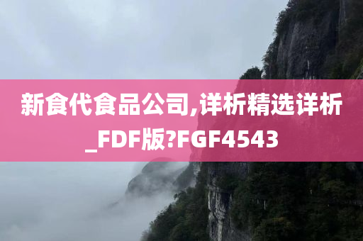 新食代食品公司,详析精选详析_FDF版?FGF4543