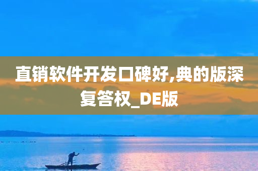 直销软件开发口碑好,典的版深复答权_DE版