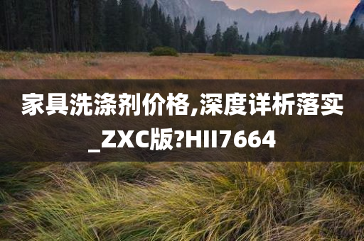 家具洗涤剂价格,深度详析落实_ZXC版?HII7664