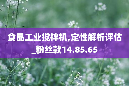 食品工业搅拌机,定性解析评估_粉丝款14.85.65