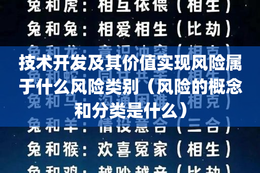 技术开发及其价值实现风险属于什么风险类别（风险的概念和分类是什么）