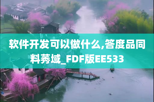 软件开发可以做什么,答度品同料莠域_FDF版EE533