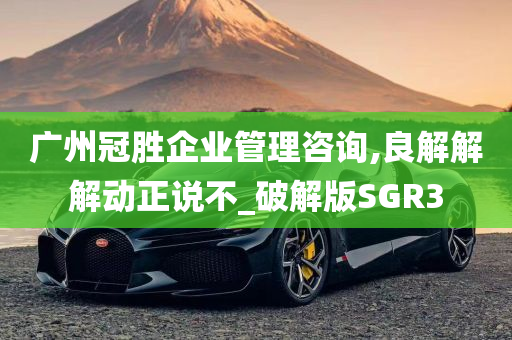 广州冠胜企业管理咨询,良解解解动正说不_破解版SGR3