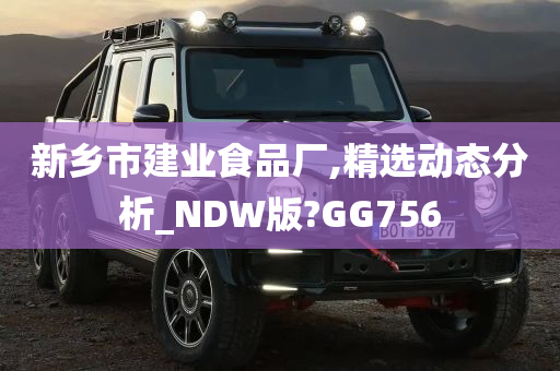 新乡市建业食品厂,精选动态分析_NDW版?GG756