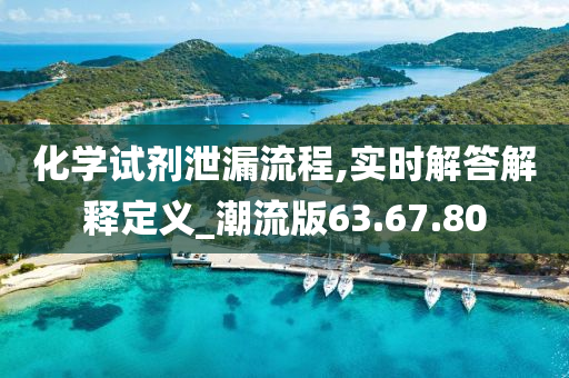 化学试剂泄漏流程,实时解答解释定义_潮流版63.67.80