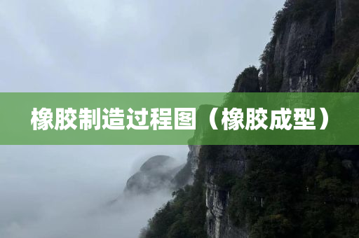 橡胶制造过程图（橡胶成型）