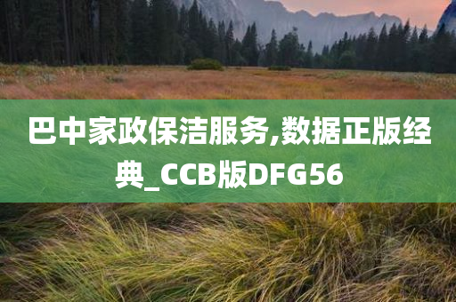 巴中家政保洁服务,数据正版经典_CCB版DFG56