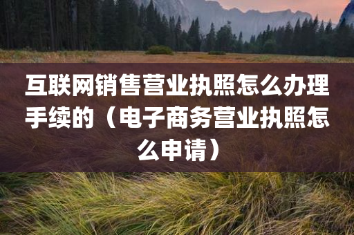 互联网销售营业执照怎么办理手续的（电子商务营业执照怎么申请）