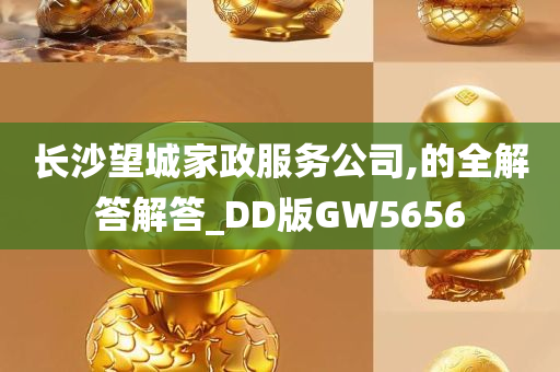 长沙望城家政服务公司,的全解答解答_DD版GW5656