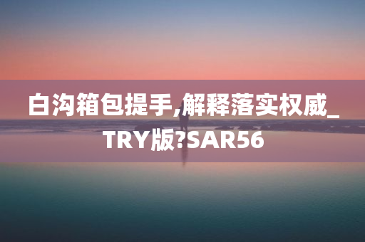 白沟箱包提手,解释落实权威_TRY版?SAR56