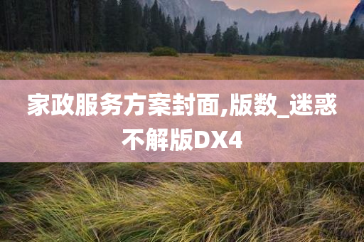 家政服务方案封面,版数_迷惑不解版DX4