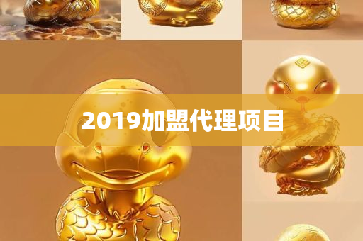 2019加盟代理项目