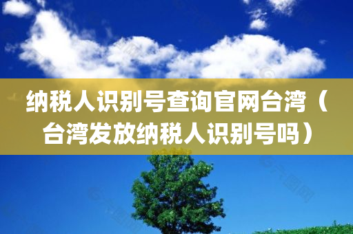 纳税人识别号查询官网台湾（台湾发放纳税人识别号吗）