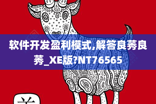 软件开发盈利模式,解答良莠良莠_XE版?NT76565