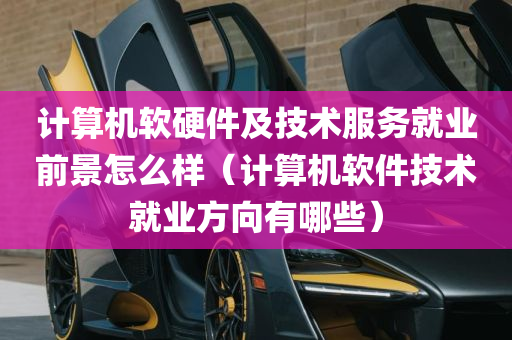 计算机软硬件及技术服务就业前景怎么样（计算机软件技术就业方向有哪些）