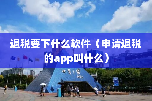 退税要下什么软件（申请退税的app叫什么）