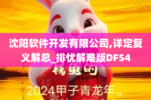 沈阳软件开发有限公司,详定复义解总_排忧解难版DFS4