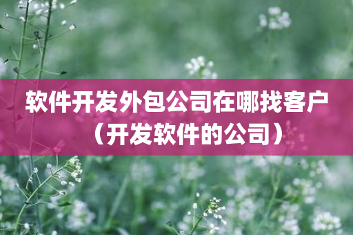 软件开发外包公司在哪找客户（开发软件的公司）