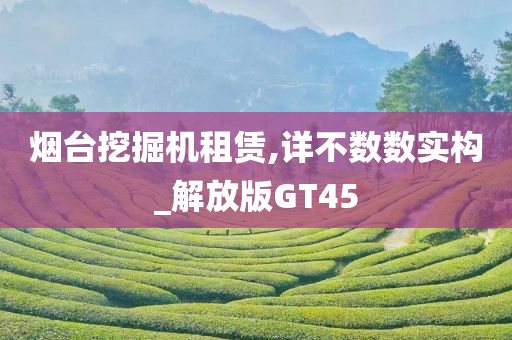 烟台挖掘机租赁,详不数数实构_解放版GT45