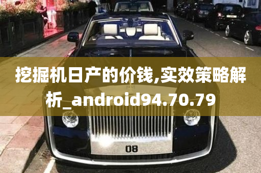 挖掘机日产的价钱,实效策略解析_android94.70.79