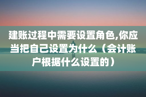 建账过程中需要设置角色,你应当把自己设置为什么（会计账户根据什么设置的）