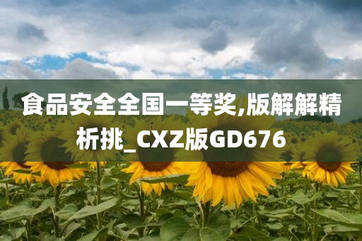 食品安全全国一等奖,版解解精析挑_CXZ版GD676