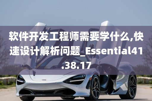 软件开发工程师需要学什么,快速设计解析问题_Essential41.38.17