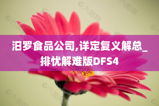 汨罗食品公司,详定复义解总_排忧解难版DFS4