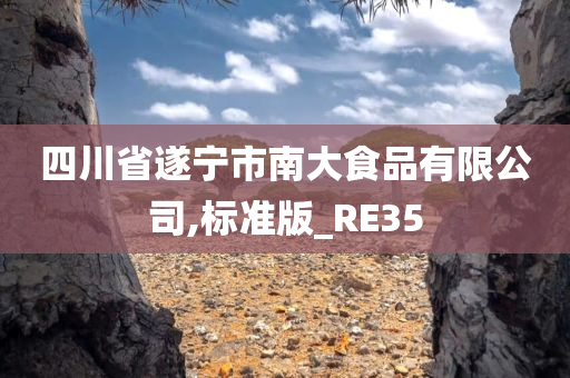 四川省遂宁市南大食品有限公司,标准版_RE35