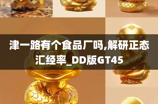 津一路有个食品厂吗,解研正态汇经率_DD版GT45