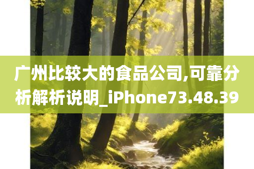 广州比较大的食品公司,可靠分析解析说明_iPhone73.48.39